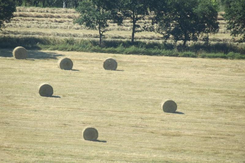 Il Gelso Nero Castelnuovo di Farfa Exterior foto